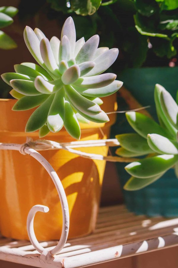 L'art de l'organisation : comment le rayonnage métallique peut vous aider