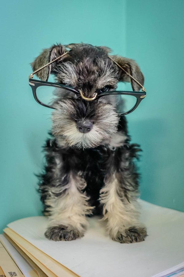 les actualités concernant les projets architecturaux durables et écologiques